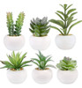 Greentime Juego 6 Plantas Suculentas Artificiales Mini Baño, 0