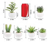 Greentime Juego 6 Plantas Suculentas Artificiales Mini Baño, 1