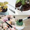 Cfh-allez 17 Piezas De Herramientas Para Plantas Suculentas, 2