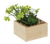 Macetas De Plantas Artificiales Decorativas Vgo 1