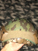 Casco Airsoft Picatinny Multicam 1