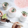 Piedras De Cuarzo Para Decoracion 430gr Rosa Mini 4