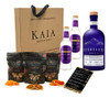 Kit Gin Aconcagua Botanicos Citricos Kaia Tónica Annika 0