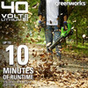 Greenworks 40v 115 Mph 430 Cfm Soplador Sin Escobillas Inalá 1