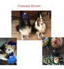 Beegame Novedad Mascota Fiesta De Cumpleaños Cono Sombrero 6 Beegame Novedad Mascota Fiesta De Cumpleaños Cono Sombrero 6