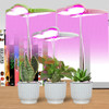 Crecer Luz Plantas De Interior De Mariposa De Planta De... 1