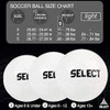 Select Club Db Soccer Ball 1