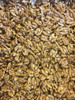 Nueces Mariposas Chandler Extra Light X 1 Kg 2