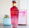 Gin Mermaid Pink Plaza Serrano - Microcentro 3