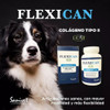 Flexican Función Articular Antiinflamatorio C/colágeno Perro 3