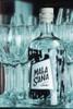 Gin Malasaña London Dry Botella 750ml. 1