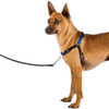 Arnés De Adiestramiento Perro Large + Envío Gratis 4