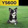 Dogtra Ys600 Collar Antiladridos Para Perros Medianos A Gran 2