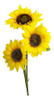 Vara Girasol X3 0
