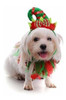 Bwogue Perro Traje De Navidad Collar De Navidad Para Perro C 2
