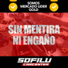Alarma Inteligente + Alzacristales 2 Ventanas Instalado 4