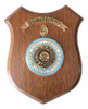 Panoplia / Escudo Ejercito Argentino 0
