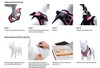 Pretal Arnes Transpirable P/gatos Y Perros Talle L - Rosa+n 3 Pretal Arnes Transpirable P/gatos Y Perros Talle L - Rosa+n 3