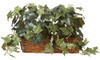Hiedra Casi Natural Hiedra Planta De Seda Con Repisa Cesta 0