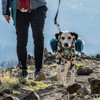 ~? Mochila De Alforja Para Perros Kurgo, Arnés Para Perros D 4