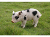 Hi-line Gift Ltd Estatua De Cerdo De Pie Con Manchas Negras 2