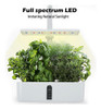 Sistema De Cultivo Hidropónico De Plantas De Interior ... 3 Sistema De Cultivo Hidropónico De Plantas De Interior ... 3