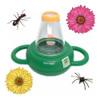 Juego Kit De Exploración De Estanque De Agua De Insectos 2