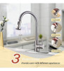 ~? Hotis Grifo De Cocina Con Pulverizador Pull-down, Acero I 1