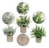 Flojery Mini Plantas En Macetas De Eucalipto Artificial Boj 2
