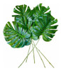 Pack X 5 Hojas Costilla De Adan Con Varilla 61 Cms Premium 6 Pack X 5 Hojas Costilla De Adan Con Varilla 61 Cms Premium 6