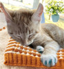 Cubiertas De Uñas Para Gatos, 160 Unidades, 16 Colores, Tama 4