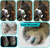 Cubiertas De Uñas Para Gatos, 160 Unidades, 16 Colores, Tama 5
