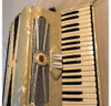 Acordeon Italiano, Años 50 Impecable Estado 4