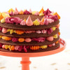 Molde Torta En Capas Desmontable 24 Cm Doña Clara Titanweb 4