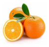 Aceite Esencial Puro De Naranja 3 Aceite Esencial Puro De Naranja 3