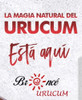 Promo 2 Óleos Coco Orgánico Extra Virgen Más 1 Esencia Hid. 2 Promo 2 Óleos Coco Orgánico Extra Virgen Más 1 Esencia Hid. 2