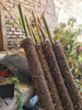 Tutor De Musgo Turba Sphagnum | Tutor Para Plantas | 120 Cm 1