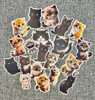 Calcos Stickers Vinilo Termo - Gatitos 1 Calcos Stickers Vinilo Termo - Gatitos 1