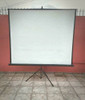 Pantalla Para Proyección Con Pie Regulable. Casi Sin Uso 2