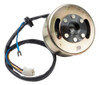 Estator Completo Con Volante P/ Suzuki Ax 100 W Std 0