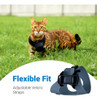 Tractive Gps Cat 4 - Arns De Rastreador Para Paseos De Gatos 2