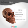 Cabeza Calavera Craneo Humano Decoracion Cotillon Halloween 5 Cabeza Calavera Craneo Humano Decoracion Cotillon Halloween 5