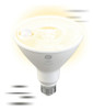 ~? Ge Lighting Led + Bombilla De Inundación De Seguridad Al 1