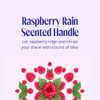 Maquinillas De Afeitar Desechables Skintimate Raspberry Rain 2