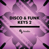 Sample Pack X 4 - Disco & Funk 1