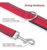 Correa Corta Para Perros Petbaba, Cable Ajustable Con Mango 3