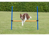 Barra De Salto Para Agility Entrenamiento Para Perros 1