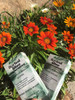 Herbal Bliss Box X5 Paquetes 0