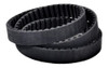 Correa Sincronica Citroen Berlingo 1.6 Hdi 0