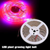 Led De Espectro Completo De Luz De Planta Plantas De In... 4